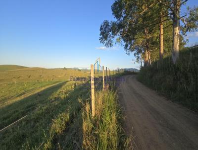 Fazenda para Venda, em Goian, bairro Aeroporto