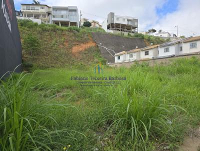 Terreno Comercial para Venda, em Juiz de Fora, bairro Santos Dumont